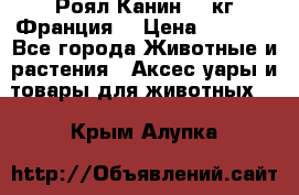  Роял Канин 20 кг Франция! › Цена ­ 3 520 - Все города Животные и растения » Аксесcуары и товары для животных   . Крым,Алупка